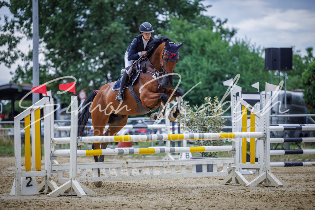 20260705-_3LI6163 | Tierfotografie Pferde, Hunde, Katzen, Haustiere.
Turnierfotografie Reitturniere, Reiten, Springreiten, Dressur in Hanau, dem Main-Kinzig-Kreis und dem Rhein-Main- Gebiet um Frankfurt