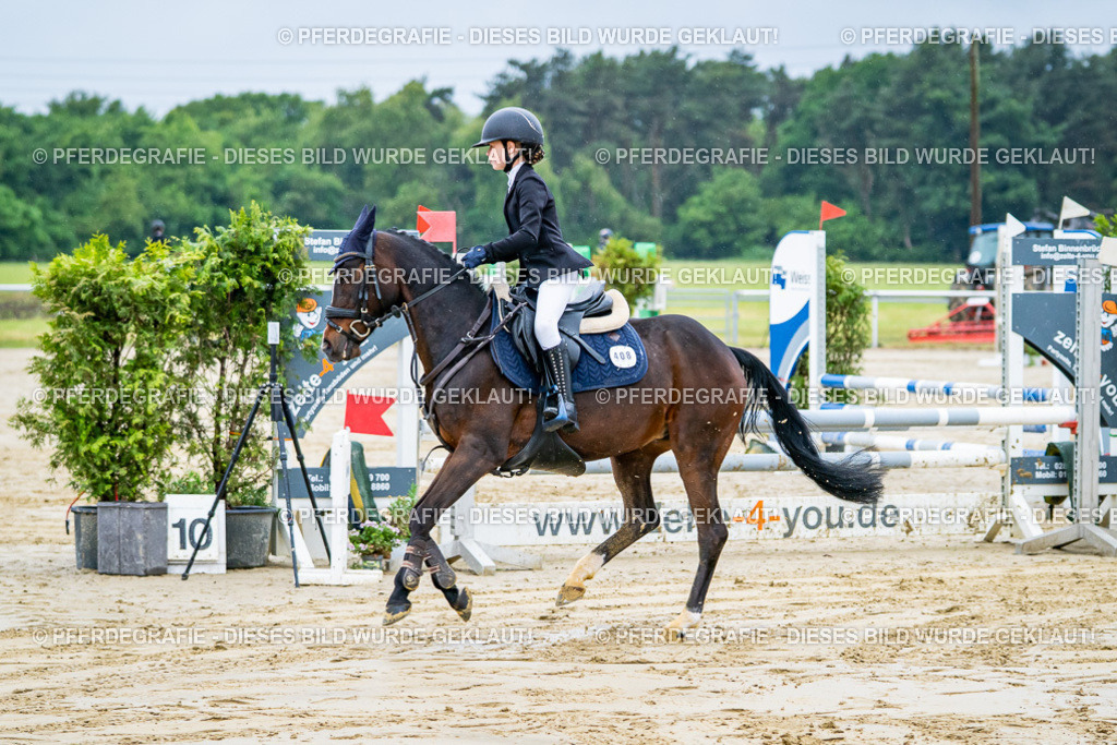 DSC01288 | Pferdegrafie