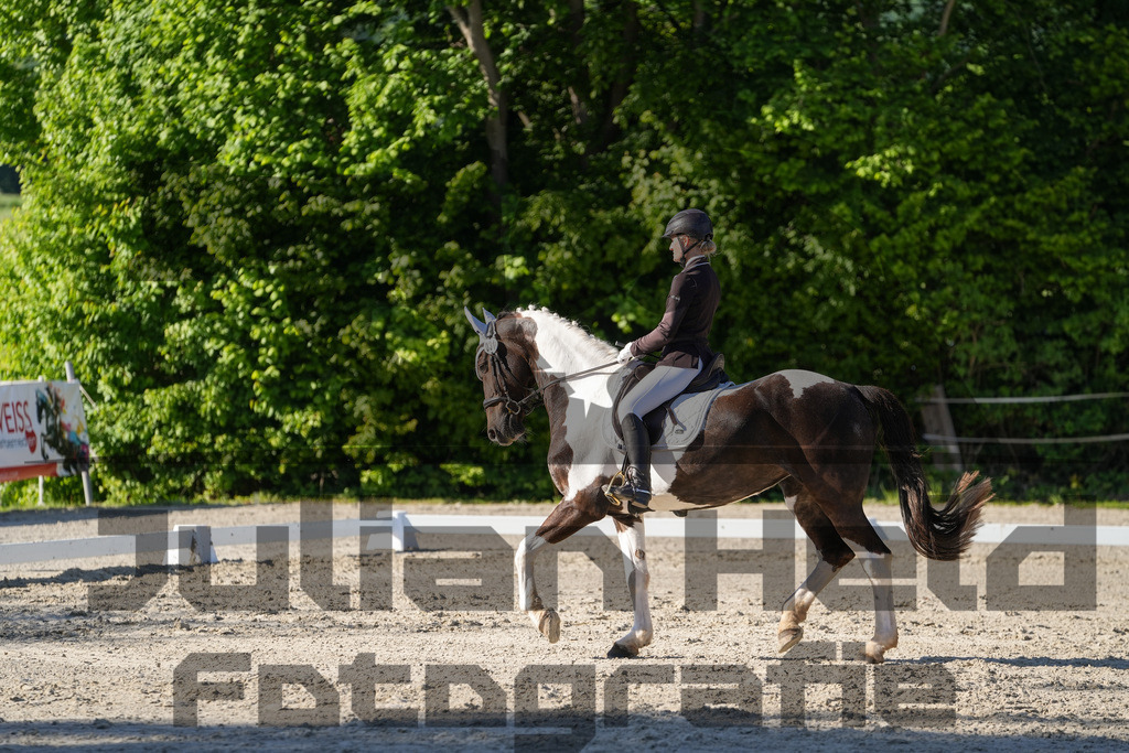 DSC00838 | Julian Held Fotografie - Realisiert mit Pictrs.com