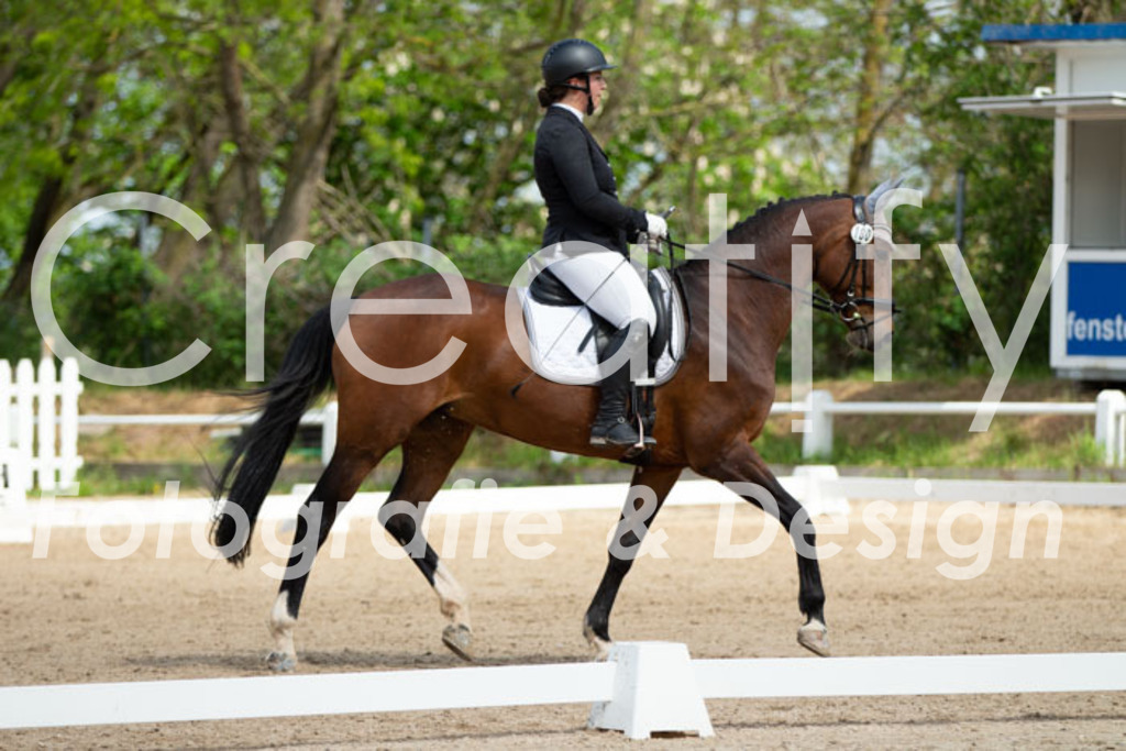 IMG_4646 | Creatify Fotografie