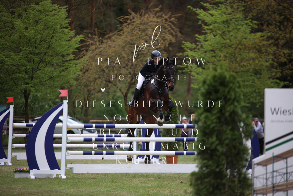 IMGT1705 | pl-fotografie