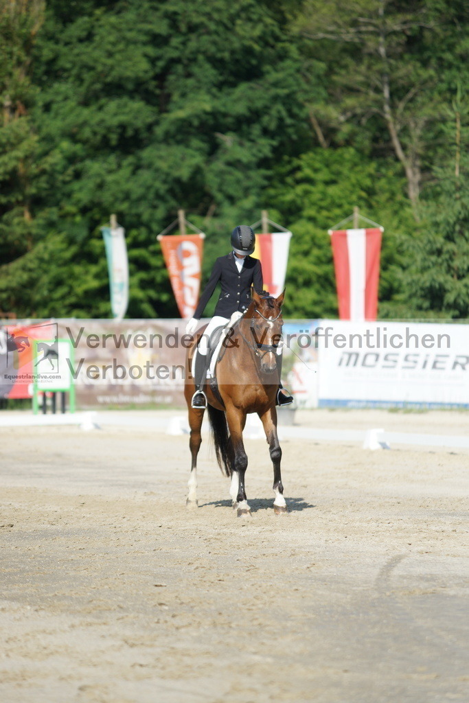 DSC04410 | equestrian-live-com