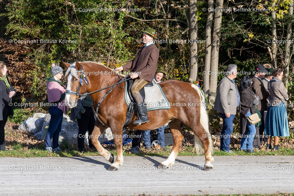 LBT24-740 | foto-bettina-krinner - Realisiert mit Pictrs.com