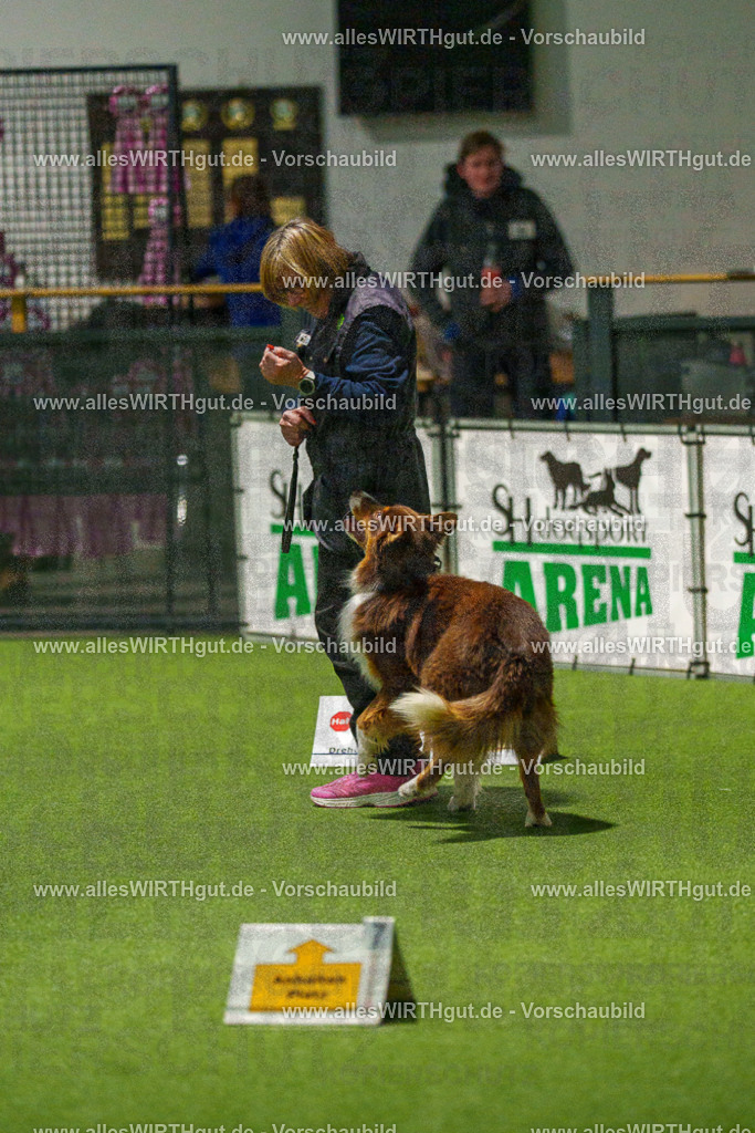 7R508715 | Professionelle Tierfotografie in Mönchengladbach von Daniel Wirth (allesWIRTHgut). Liebevolle & natürliche Bilder von Hunden & Katzen für unvergessliche Erinnerungen.