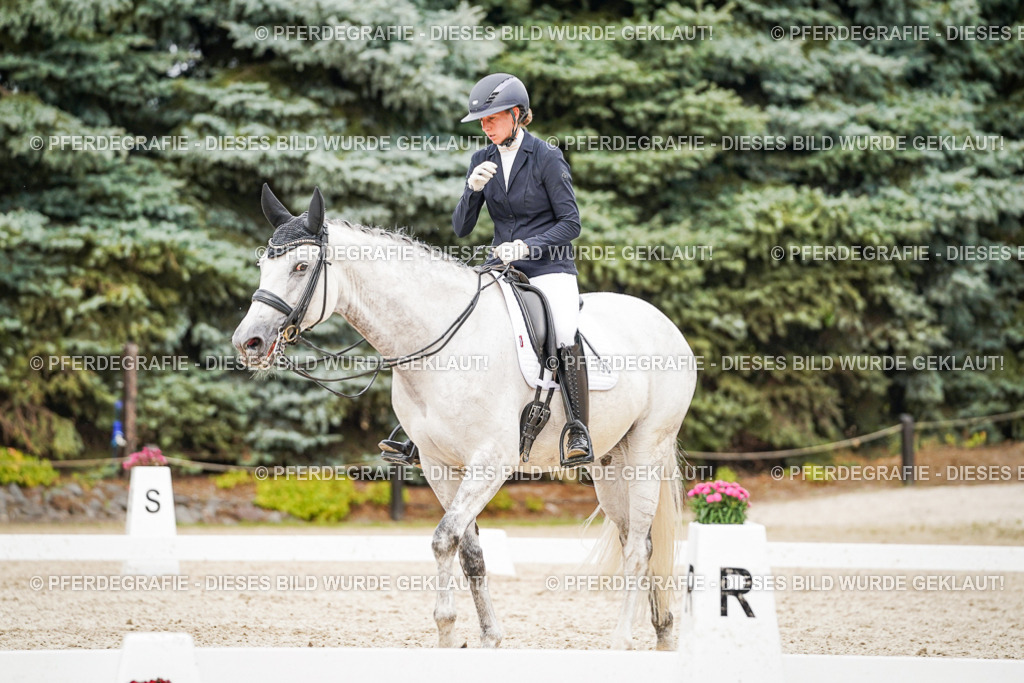 DSC07838 | Pferdegrafie