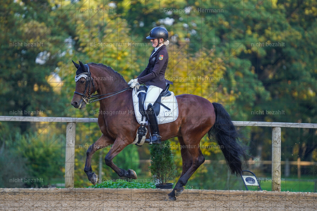20221007-FAH00465 | Diessen am Ammersee, 2022, Dressur- und Springturnier, Reitsportbilder, Turnierfotografen Bayern, Pferdefotografen, Fotoagentur Herrmann, Turnierbilder