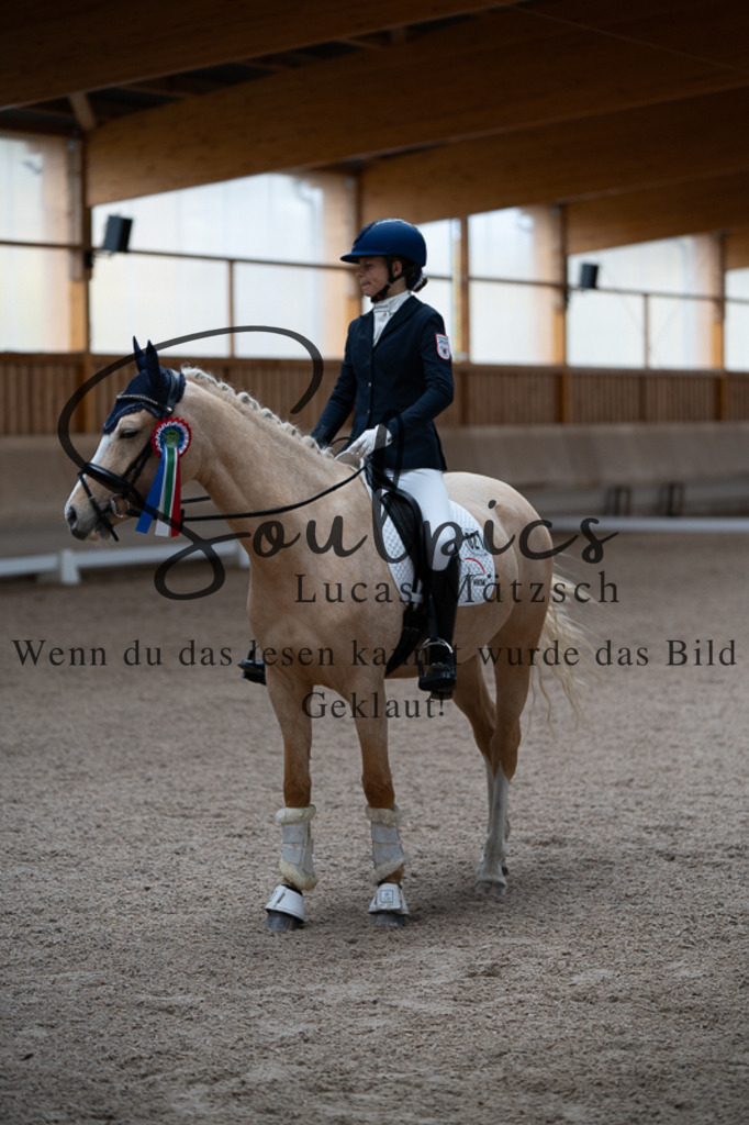 A7V02703 | Pferdefotograf