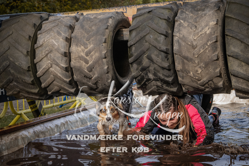 1423_ZZ94454 | kk-dogfotos