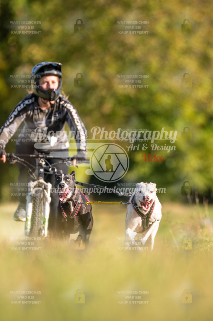 CDLBDB_15_10_2023_Dimanche-319 | mompixphotography