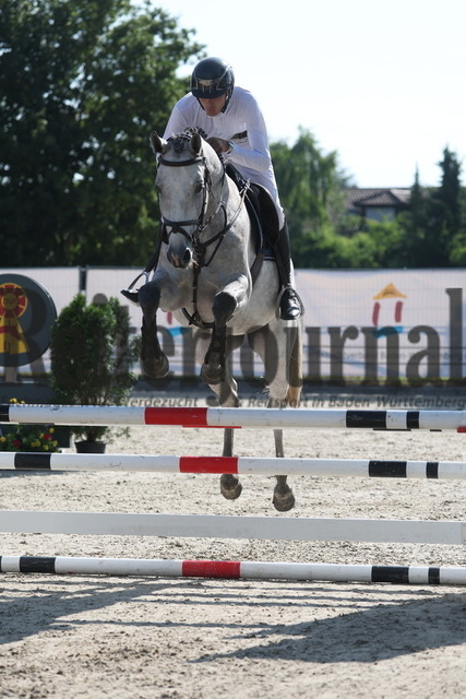 Weilheim_2023_Prfg.Nr.09_Qualifikation_PSA-Tour_Marian Müller_Checkson (7) | Alle Fotos der Reiterjournal Fotografin Doris Matthaes im Reiterjournal Online-Fotoshop. - Realisiert mit Pictrs.com