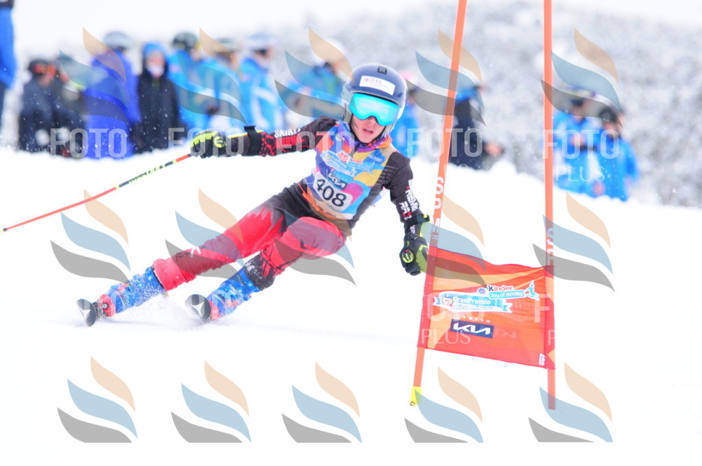 C4288 | holidayphoto