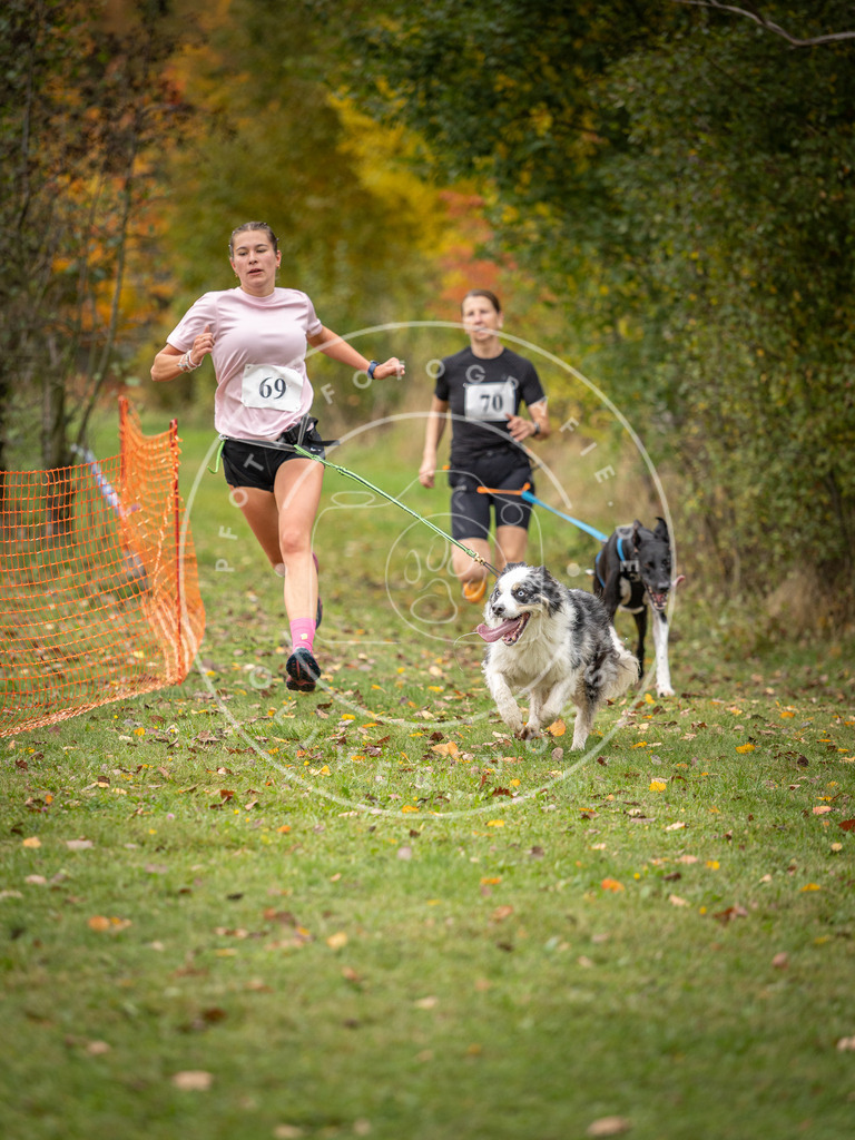 Pfotenfotografie_DV3A2788 | Hundefotografie, Tierfotograf, Pfotenfotografie, Fotoshooting Hund, Hunde Portrait, Hundesport, Hundeportraits, Heideshooting, Hunde, Sportfotograf, Hundefotograf, Turnierhundsport, THS,  - Realisiert mit Pictrs.com