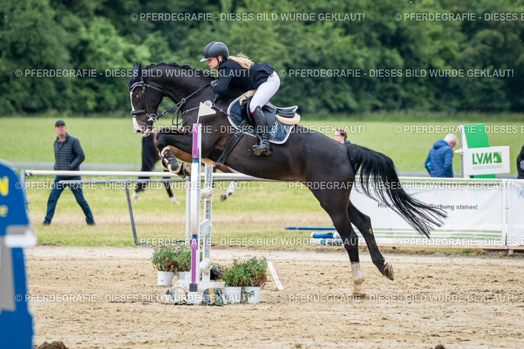 DSC04346 | Pferdegrafie