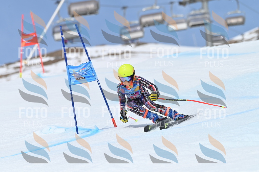 BGV_2550 | holidayphoto