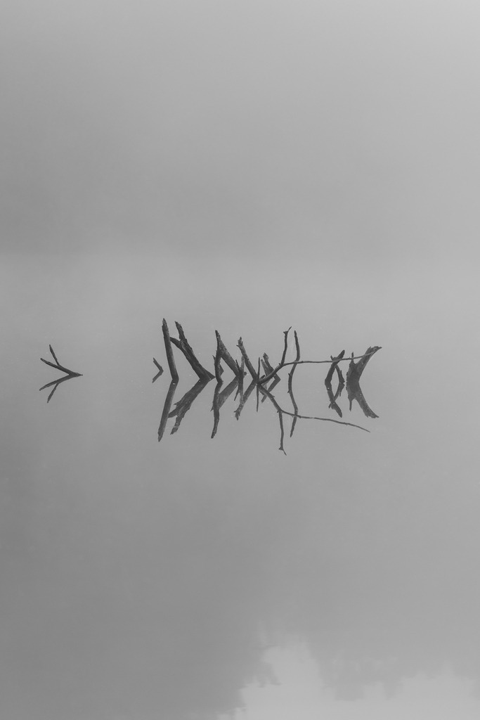 2024_10_04_HIMMELMOOR-NEBEL_MCP7322 sw | Hochwertig gedruckte Fotografien für die Wand, als Kalender und zum Verschenken. Hamburg & Norddeutschland und überall wo ich mit der Kamera unterwegs war.