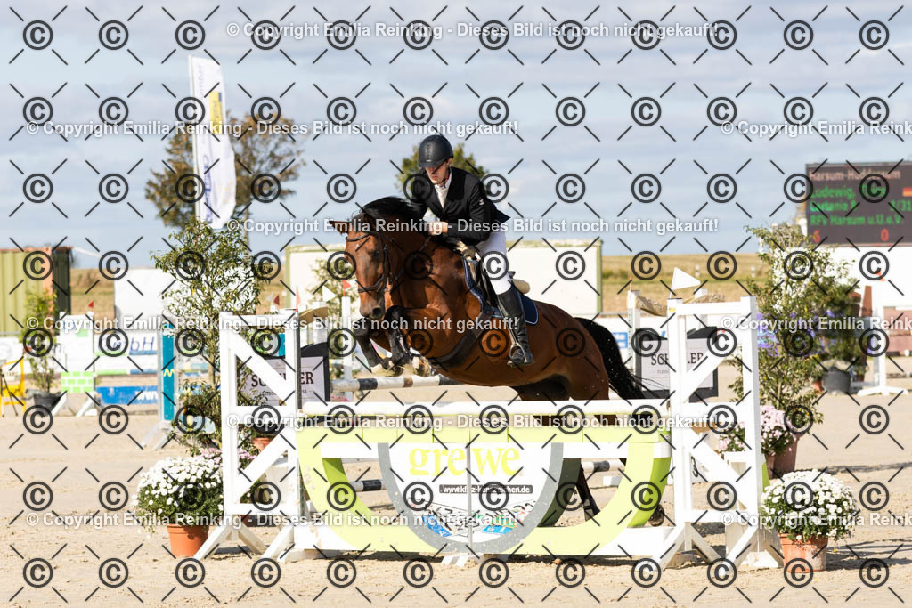 CL5A2246 | Emilia Reinking Fotografie - Realisiert mit Pictrs.com