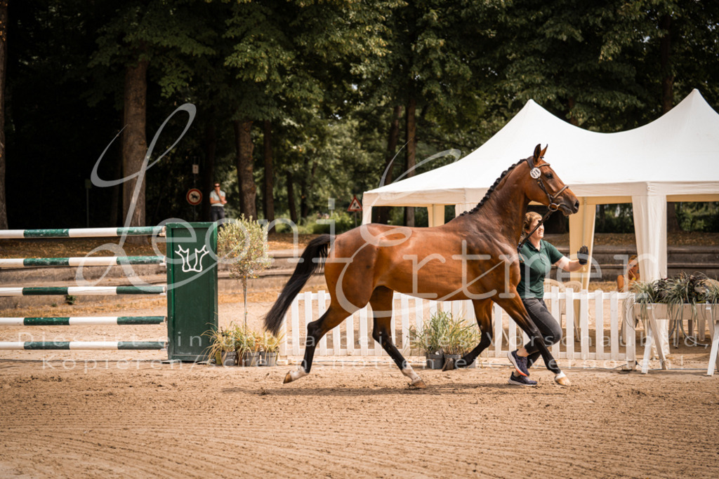 4.Fr00110 | Leoni Ertmer Photography - Realisiert mit Pictrs.com