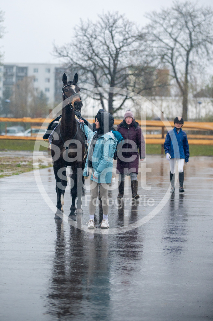 DSC_3356 | sattelsport - Realisiert mit Pictrs.com