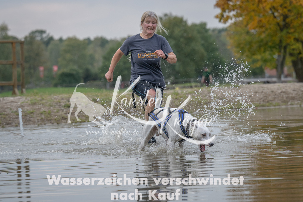 1504_ZZ92877 | kk-dogfotos