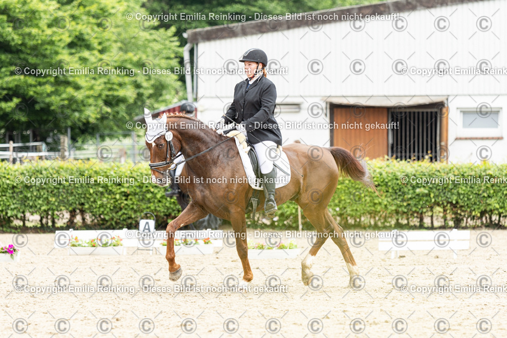 CL5A1757 | Emilia Reinking Fotografie - Realisiert mit Pictrs.com