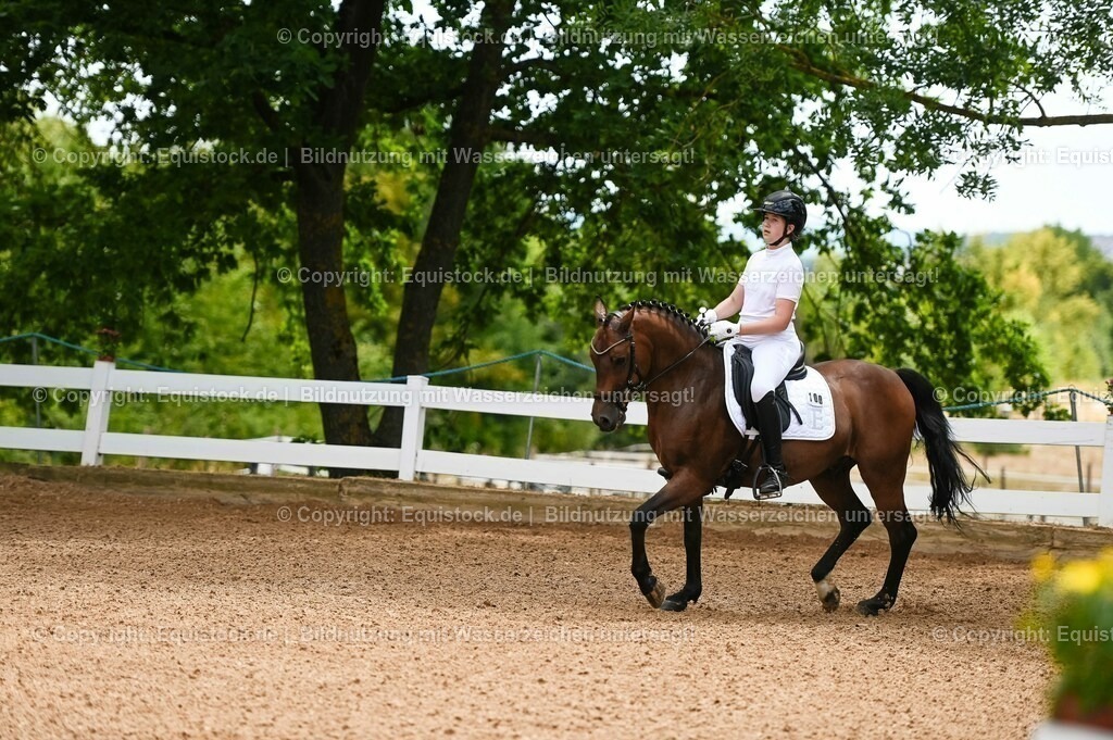20230715_05_Dressurprüfung Kl.A++_0012 | equistock