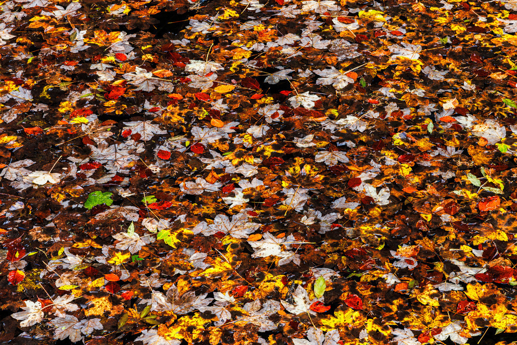 GT2A2188 | ap-design // andreas plenk - Realisiert mit Pictrs.com