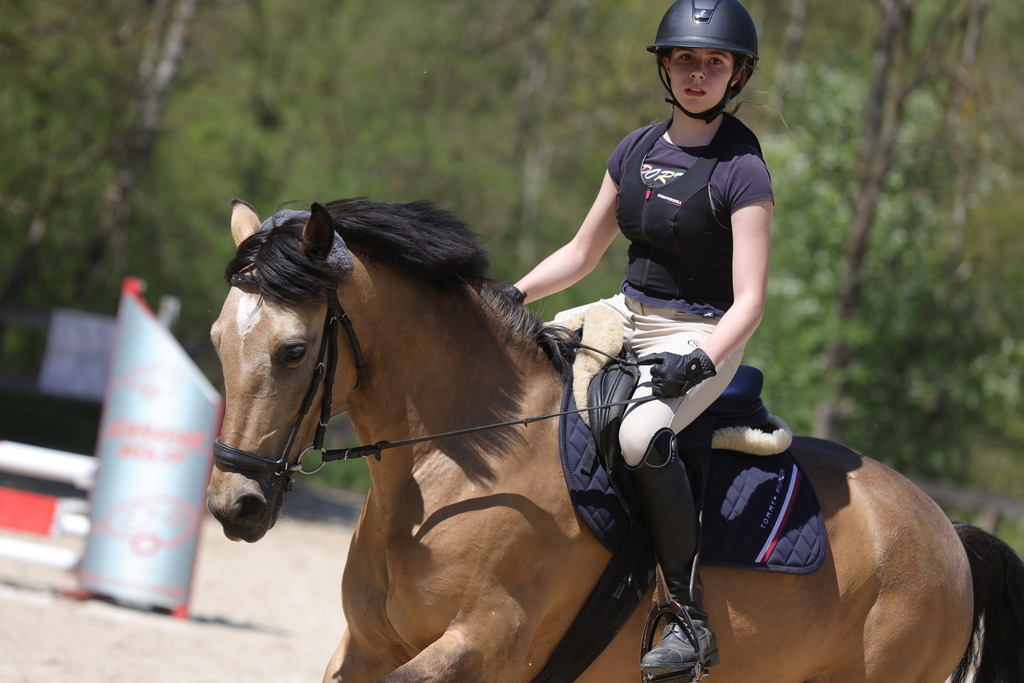 0P6A8825 | Willkommen bei Brunnmayr - Design & Fotografie – Ihrem Spezialisten für Reitturniere und Pferdeveranstaltungen in Oberösterreich, Salzburg und Bayern! Seit über 17 Jahren sind wir leidenschaftlich dabei.