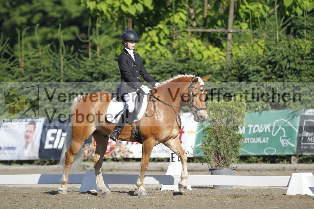 _MG_0421 | equestrian-live-com