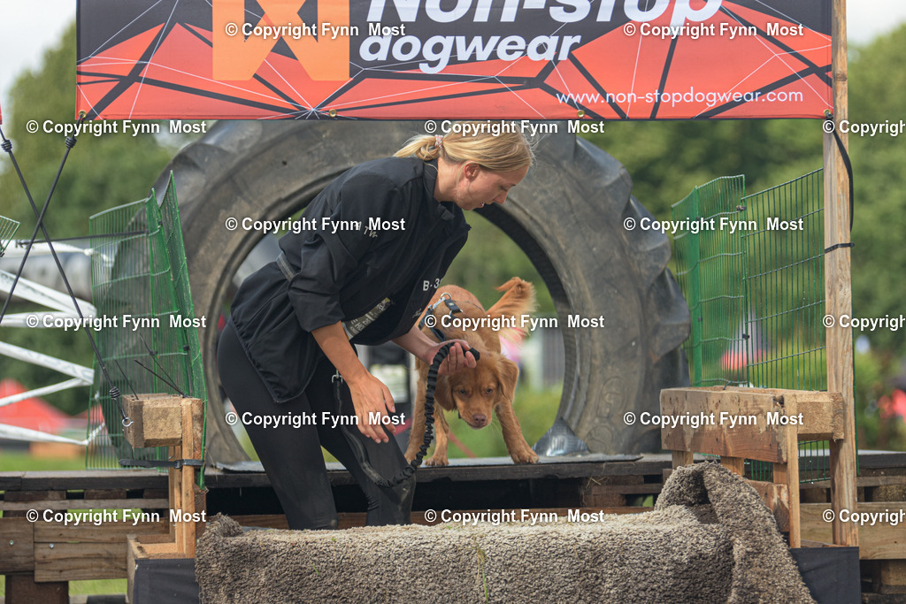 DSC_0127-2 | Hallo und herzlich Willkommen auf meiner Shop-Seite Fynn Most.

Ich wünsche Dir viel Spaß beim stöbern durch die Bilder, wenn Du Fragen hast oder Bilder vermisst, kannst du mir gerne eine Nachricht schreiben. - Realisiert mit Pictrs.com