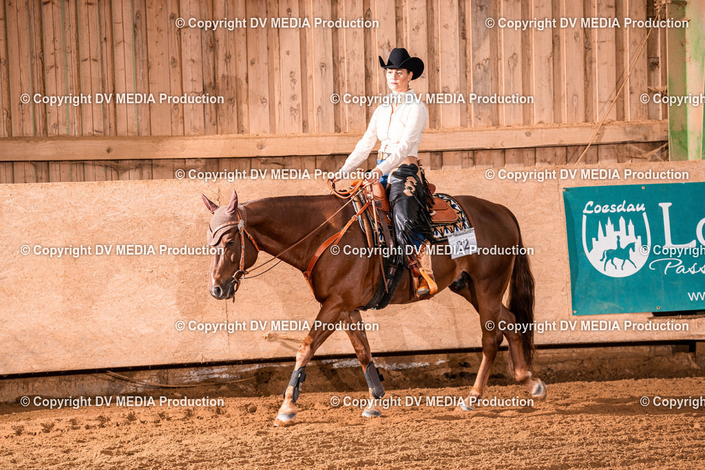 Balingen Tag 2-1248 | dv-media-shop - Realisiert mit Pictrs.com