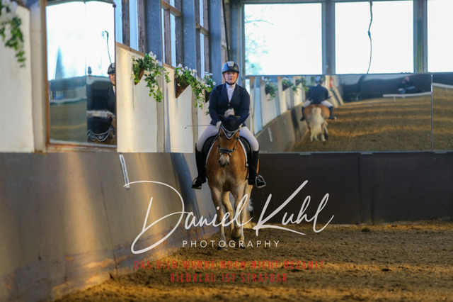 IMG_3242 | Turniersportfotografie; Pferdefotografie; Dressurfotografie