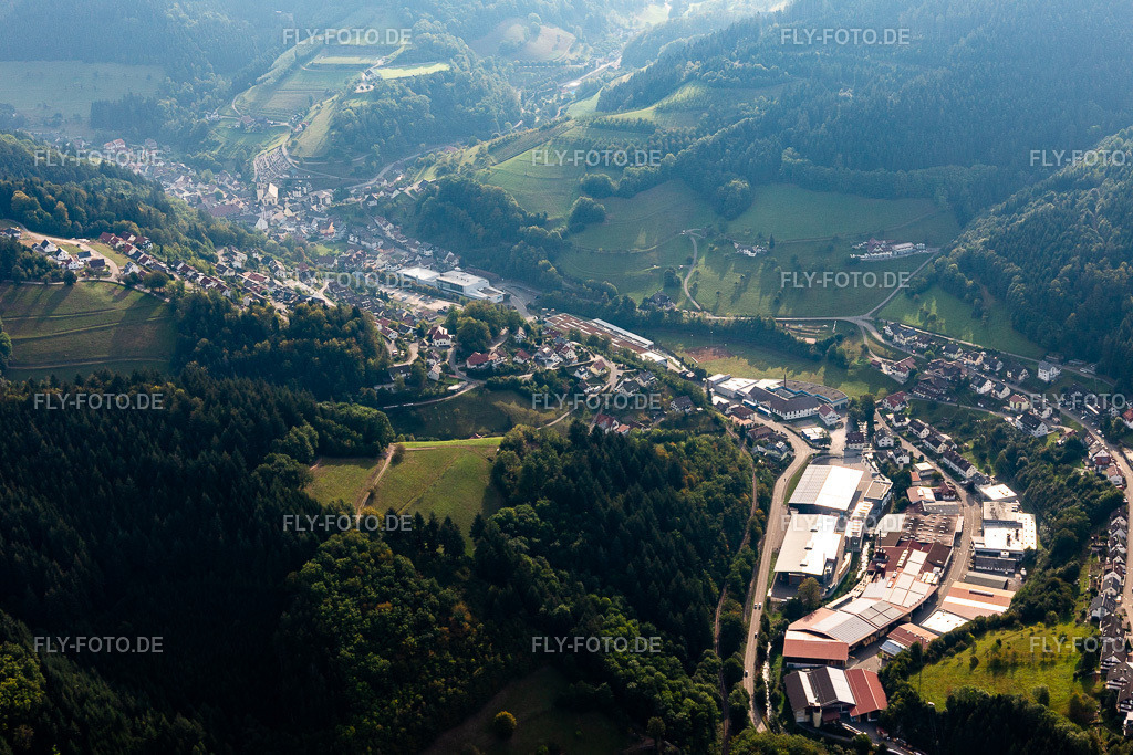 Treyer Paletten | Luftbild: Treyer Paletten im Ortsteil Bad Peterstal in Bad Peterstal-Griesbach im Bundesland Baden-Württemberg in Deutschland. Foto: IMG_008874.jpg vom 20.09.2020 durch Werner Riehm/FLY-FOTO.de - Realisiert mit Pictrs.com