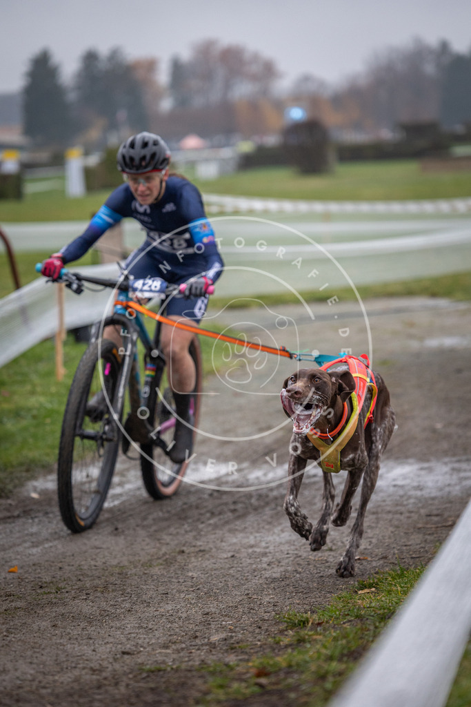 CaniXpix_0L8A1259 | Hundefotografie, Tierfotograf, Pfotenfotografie, Fotoshooting Hund, Hunde Portrait, Hundesport, Hundeportraits, Heideshooting, Hunde, Sportfotograf, Hundefotograf, Turnierhundsport, THS,  - Realisiert mit Pictrs.com