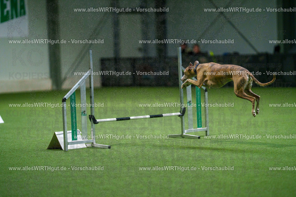 7R500368 | Professionelle Tierfotografie in Mönchengladbach von Daniel Wirth (allesWIRTHgut). Liebevolle & natürliche Bilder von Hunden & Katzen für unvergessliche Erinnerungen.