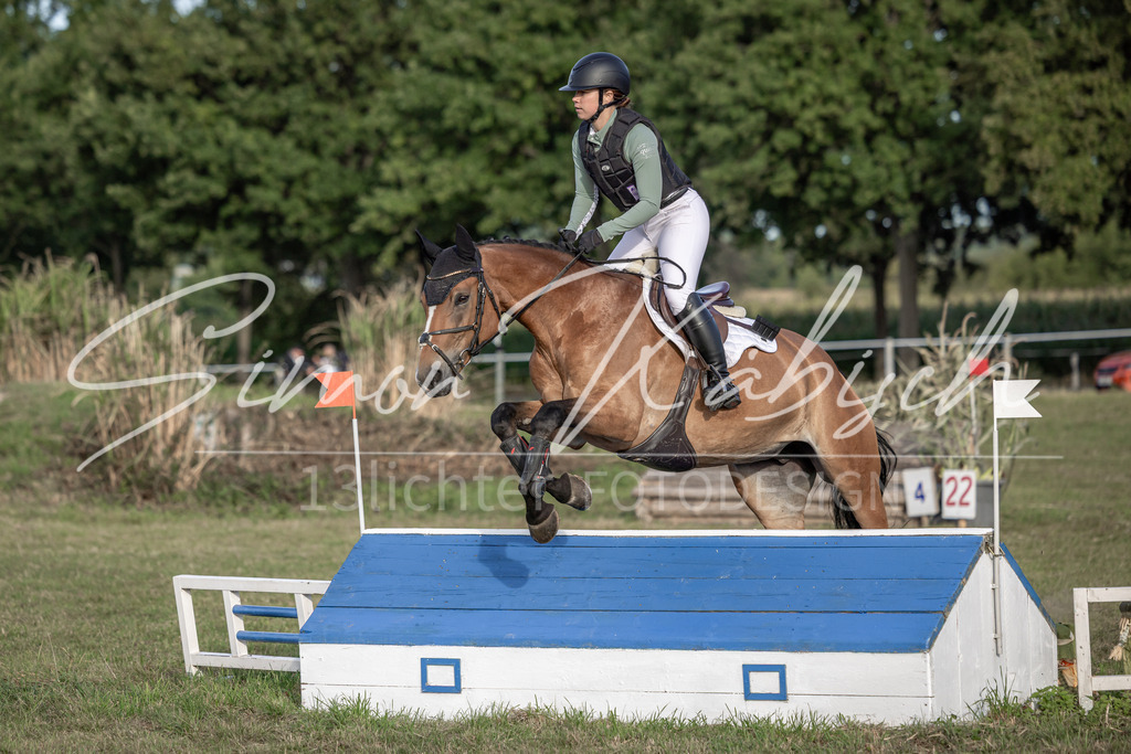 20250907-_3LI8507 | Tierfotografie Pferde, Hunde, Katzen, Haustiere.
Turnierfotografie Reitturniere, Reiten, Springreiten, Dressur in Hanau, dem Main-Kinzig-Kreis und dem Rhein-Main- Gebiet um Frankfurt