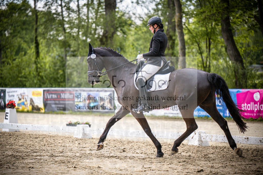 DOS_3165 | Reitturnier Venne - Realisiert mit Pictrs.com