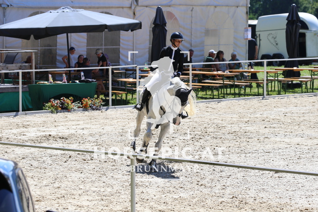 DL2Q3436 | Willkommen bei Brunnmayr - Design & Fotografie – Ihrem Spezialisten für Reitturniere und Pferdeveranstaltungen in Oberösterreich, Salzburg und Bayern! Seit über 17 Jahren sind wir leidenschaftlich dabei.