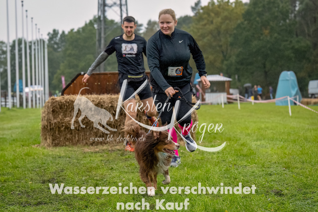 1010-2-3 | kk-dogfotos