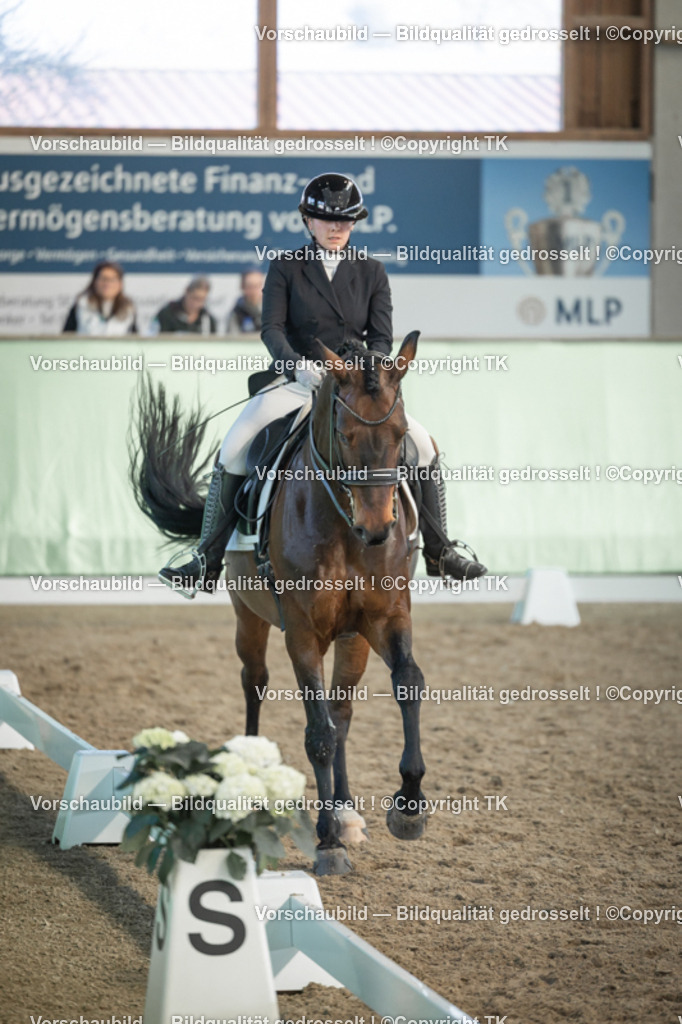 _D5A3044 | Emotionale Pferde- & People-Fotografie rund um Heidelberg, Leimen & Umgebung. Natürliche Fotos von Pferd, Mensch & Familie. Jetzt Termin sichern!