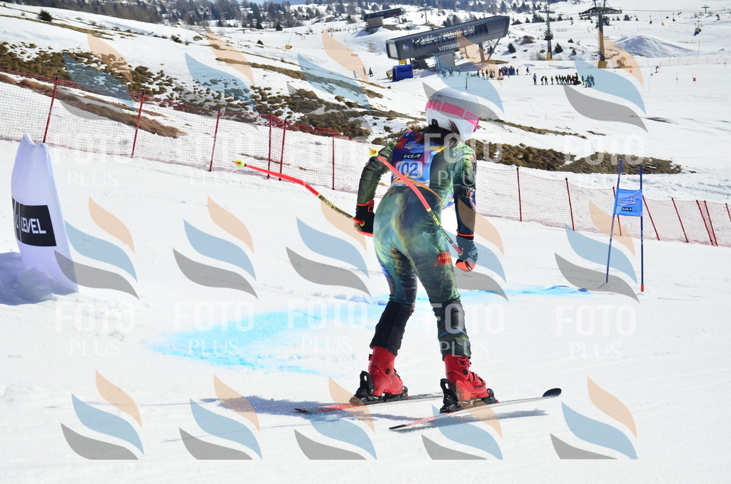 _ELE0578 | holidayphoto