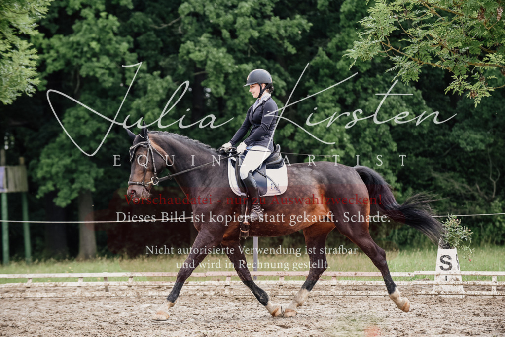 DSC_0596 | Pferde- und Turnierfotografie in Westsachsen. Pferdeportraits, Auftragszeichnungen und intuitive Kunst.