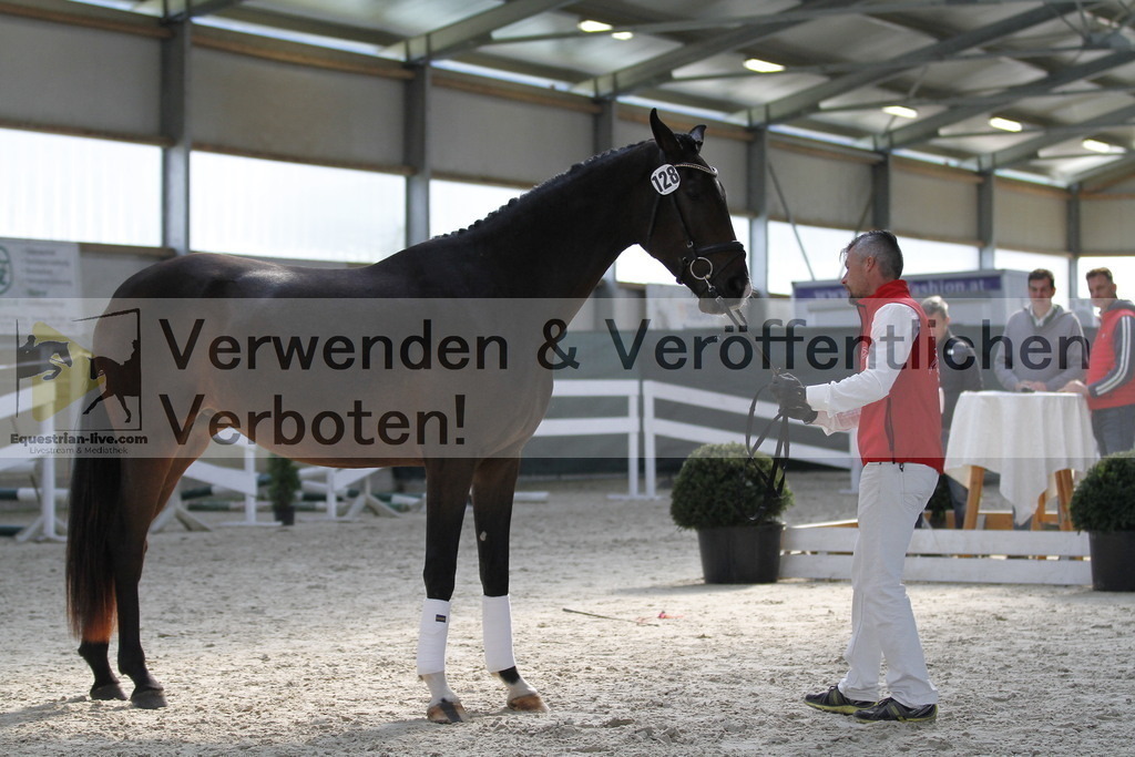 _MG_9802 | equestrian-live-com
