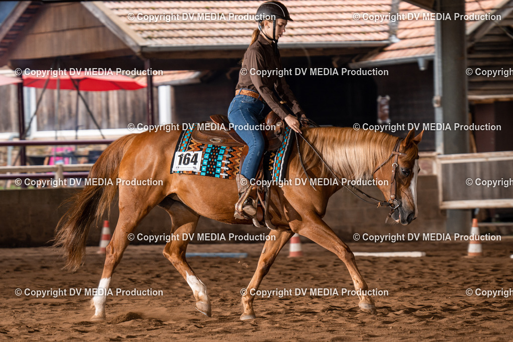 Erbach Tag 2-316 | dv-media-shop - Realisiert mit Pictrs.com