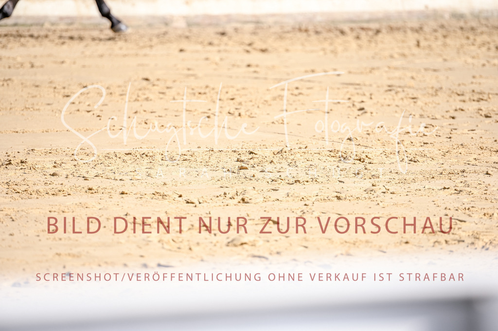 Schugtsche-Aluta25-52.Dressurprf.M2Kand-297 | Schugtsche Fotografie - Realisiert mit Pictrs.com