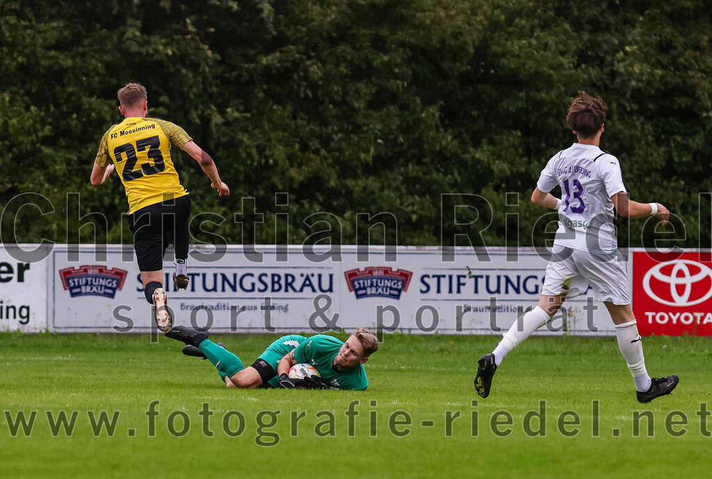 2023-08-09_070_FC_Moosinning_II_gegen_SpVgg_Altenerding | Moosinning, Deutschland, 09.08.2023:
Fußball, Kreisliga 2023 / 2024, 3. Spieltag, FC Moosinning II gegen SpVgg Altenerding, Endergebnis: 1:1

Christoph Kollmannsberger (FC Moosinning, #23), Torwart Lukas Loher (SpVgg Altenerding, #75), Julius Krop (SpVgg Altenerding, #13)

Foto: Christian Riedel / fotografie-riedel.net