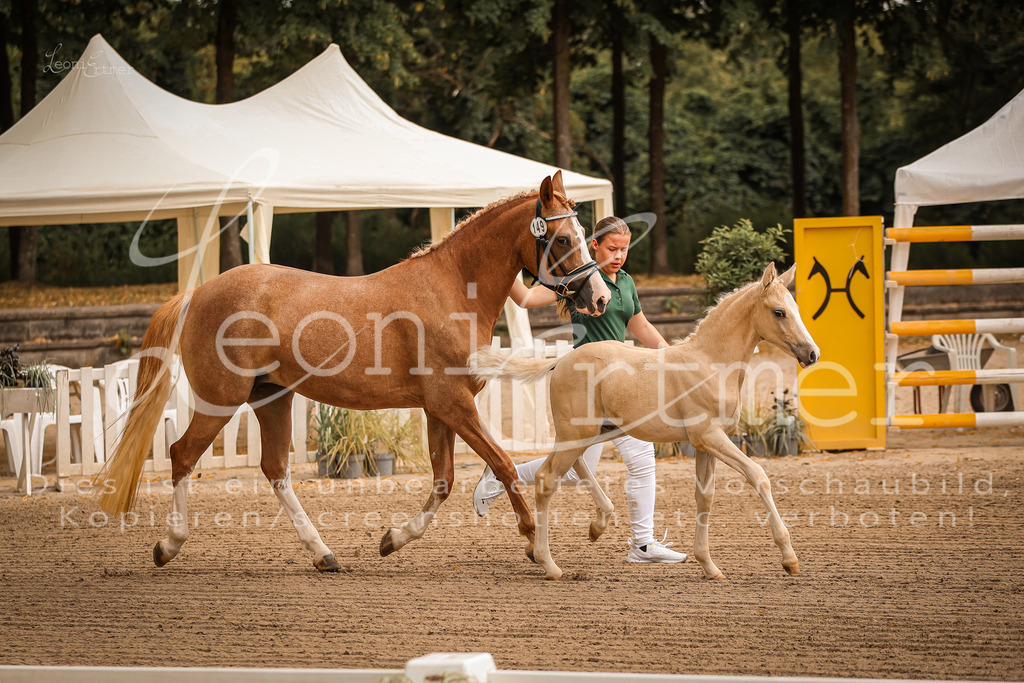 07.So00013 | Leoni Ertmer Photography - Realisiert mit Pictrs.com