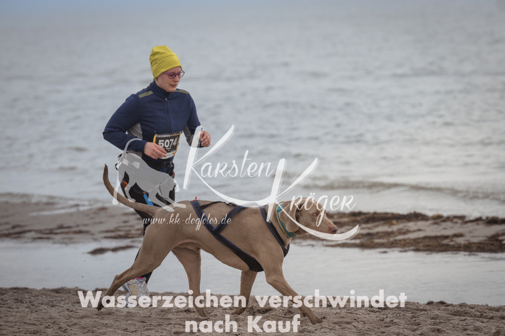 1204_ZZ93940 | kk-dogfotos