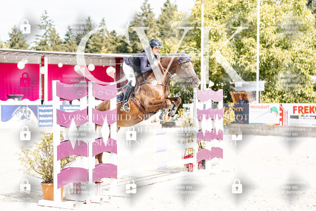 CK908985 | Turnierfotografie Pferdefotografie Trier Rheinland-Pfalz Pferdesport Reitsport Tierfotografie Sportfotografie Pferdevideo Pferdevideografie Equestrianvideography equestrianphotography  - Realisiert mit Pictrs.com