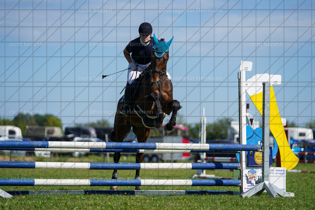 20230917-FAH09396 | Landsberg am Lech, 2023, Kaufbeuren, Kempten, Allgäu, Turnierfotografen Bayern, Fotoagentur Herrmann, Turnierbilder, Reitsport Fotos, Pferdefotograf, Augsburg, Bad Tölz, Dachau, Karlsfeld, Memmingen, Buchloe, Schwabmünchen