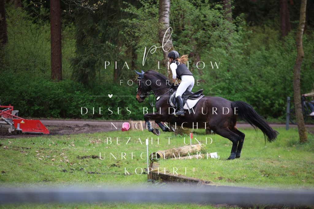 IMGT1962 | pl-fotografie